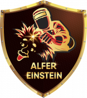 logo einstein.png